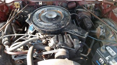 20150610_172206.jpg 20150610_172206.jpg