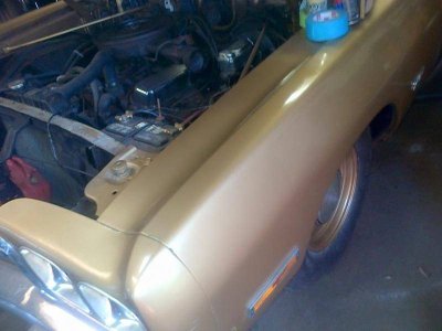 1517488_10206902682903008_2646384730184736281_n.jpg 1517488_10206902682903008_2646384730184736281_n.jpg