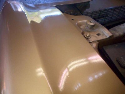 11012183_10206902687663127_1739013903180479857_n.jpg 11012183_10206902687663127_1739013903180479857_n.jpg