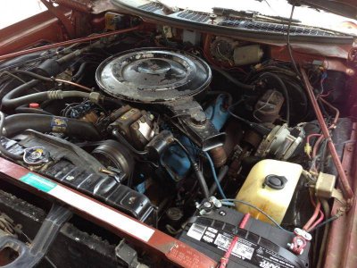 IMG_5669.jpg IMG_5669.jpg