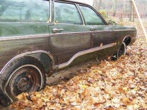 100_2703.jpg 100_2703.jpg