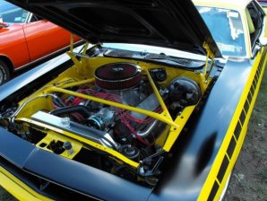 DSCF1031 (800x600).jpg