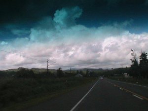 IMG_0489.jpg IMG_0489.jpg