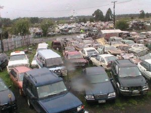 IMG_0434.jpg IMG_0434.jpg