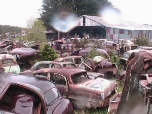 IMG_0445.jpg IMG_0445.jpg