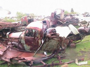 IMG_0448.jpg IMG_0448.jpg