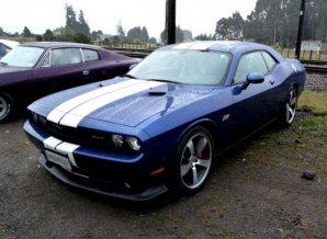 P1060550.jpg P1060550.jpg