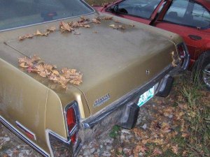 1973 Chrysler Newport 126.jpg