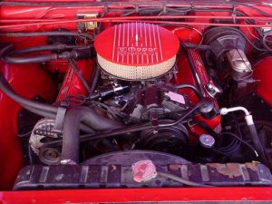 enige compartment 001.jpg