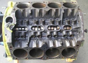 P1010009-vi.jpg P1010009-vi.jpg