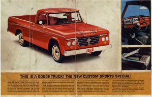 broinsd.jpg broinsd.jpg