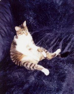 Chester 2000.jpg Chester 2000.jpg