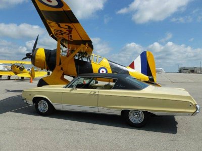 P1010130.jpg P1010130.jpg