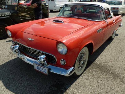 P1010142.jpg P1010142.jpg