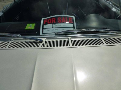 P1010159 - Copy.jpg P1010159 - Copy.jpg