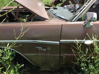 IMG_4215.jpg IMG_4215.jpg