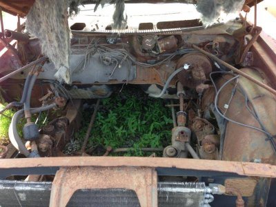 IMG_4217.jpg IMG_4217.jpg