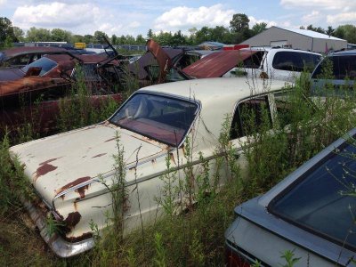 IMG_4202.jpg IMG_4202.jpg