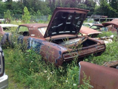 IMG_4224.jpg IMG_4224.jpg