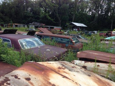 IMG_4223.jpg IMG_4223.jpg