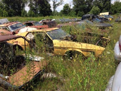 IMG_4203.jpg IMG_4203.jpg