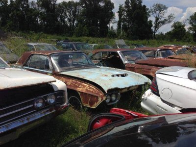 IMG_4205.jpg IMG_4205.jpg