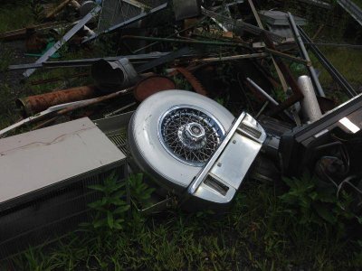 IMG_4206.jpg IMG_4206.jpg