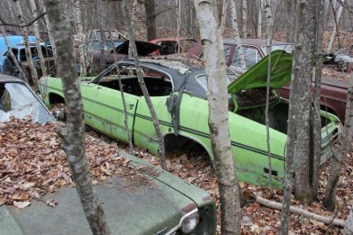 IMG_1065.jpg IMG_1065.jpg