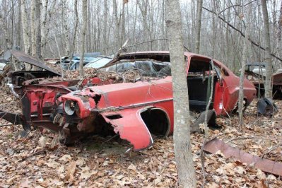 IMG_1068.jpg IMG_1068.jpg