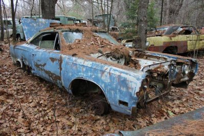 IMG_1035.jpg IMG_1035.jpg