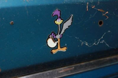 IMG_2707.jpg IMG_2707.jpg