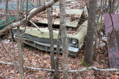 IMG_2710.jpg IMG_2710.jpg