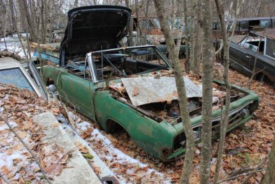 IMG_2719.jpg IMG_2719.jpg