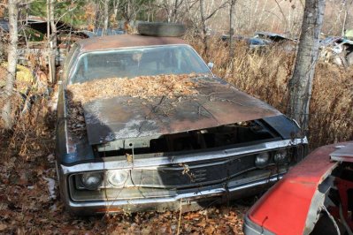 IMG_2730.jpg IMG_2730.jpg