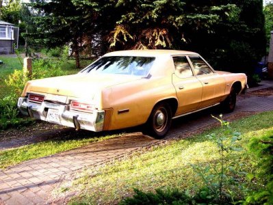 IMGP1331.jpg IMGP1331.jpg