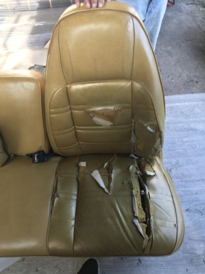 IMG_6395.jpg IMG_6395.jpg