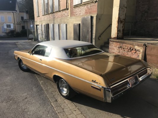 IMG_6502.jpeg IMG_6502.jpeg