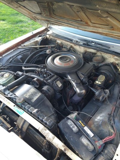 IMG_20220414_185839855.jpg IMG_20220414_185839855.jpg