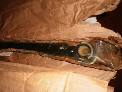 P8210001.jpg P8210001.jpg