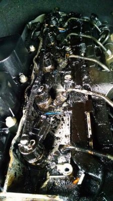 20814824200_a268c208b4_z.jpg 20814824200_a268c208b4_z.jpg