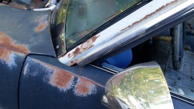 IMG_4337.jpg IMG_4337.jpg