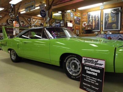 IMG_0581 (Large).jpg