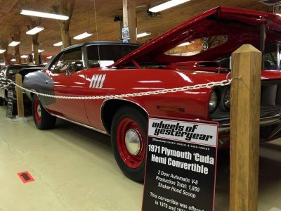 IMG_0582 (Large).jpg