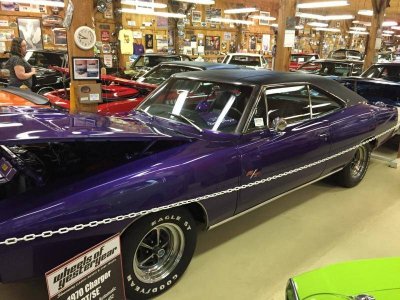 IMG_0596 (Large).jpg