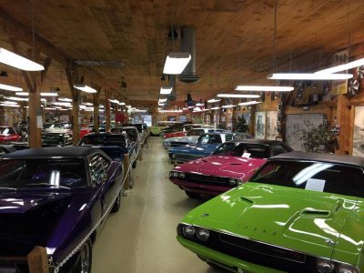 IMG_0600 (Large).jpg