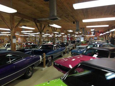 IMG_0603 (Large).jpg