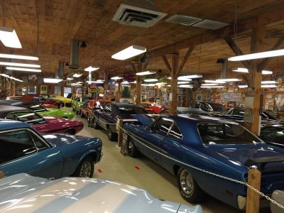 IMG_0606 (Large).jpg