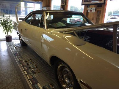 IMG_0610 (Large).jpg