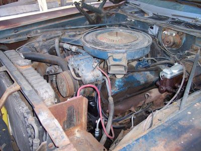 100_8543.jpg 100_8543.jpg