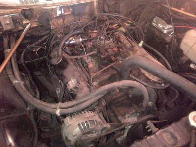 11811512_10207157986685443_341520692994416200_n.jpg 11811512_10207157986685443_341520692994416200_n.jpg